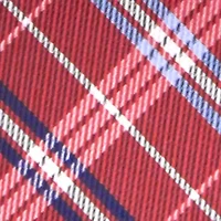 Plaid Tie