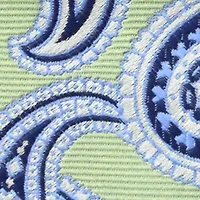 Paisley Tie