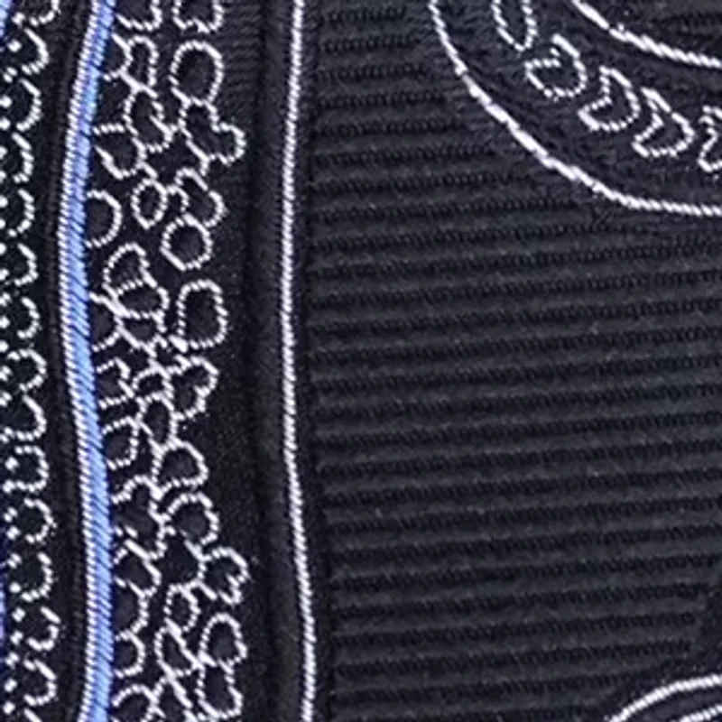 Large Paisley Tie