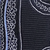 Large Paisley Tie