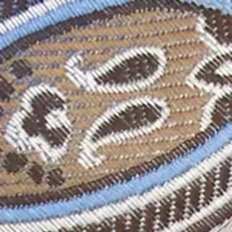 Big & Tall Paisley Tie