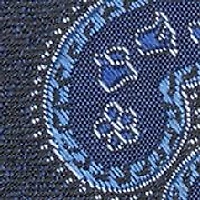 Dalene Paisley Tie