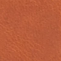 Leather Debossed Logo Bifold Wallet