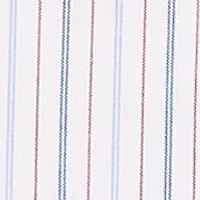 Men's White Ground Striped Shirt