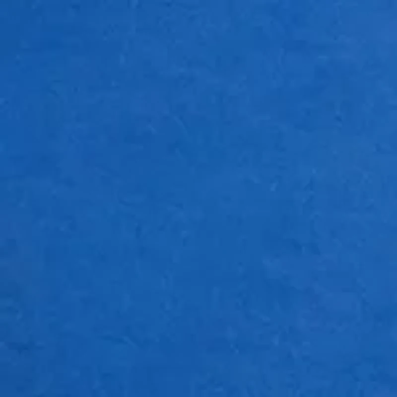 6" Twill Deck Shorts