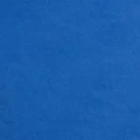 6" Twill Deck Shorts