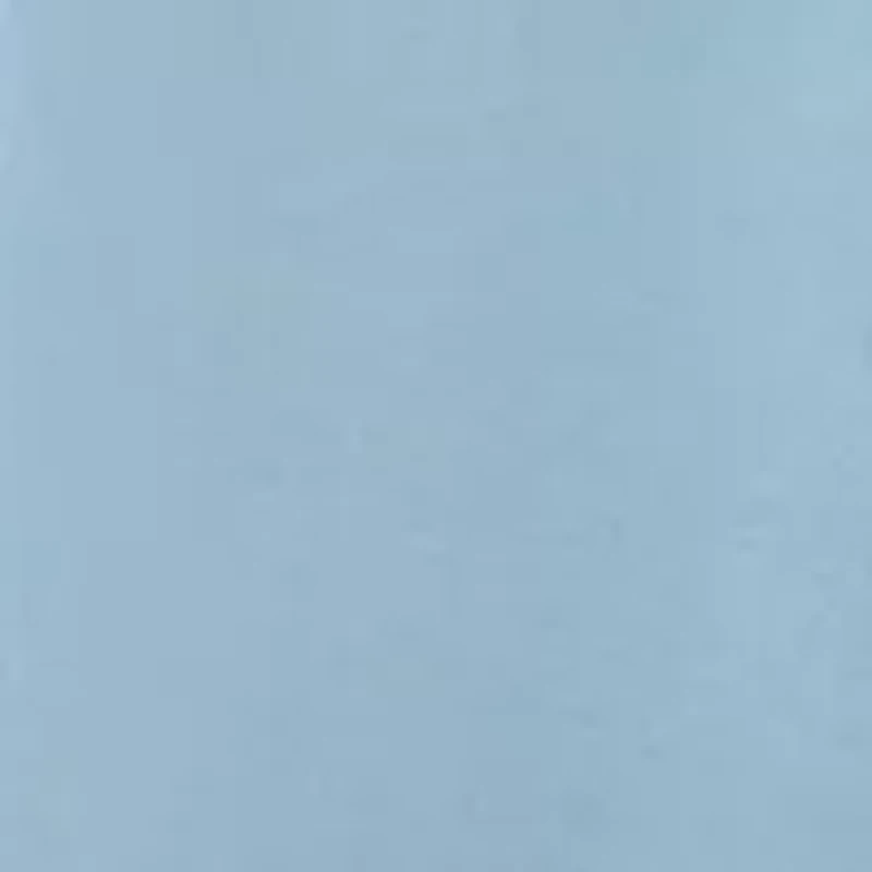 Men's Washed Oxford Shirt