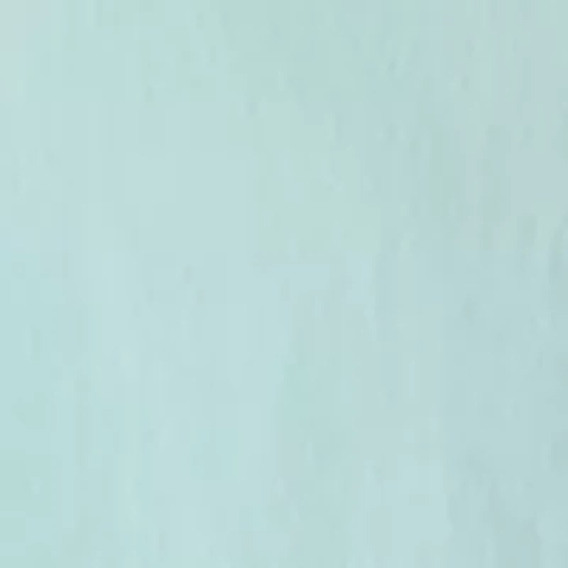 Men's Short Sleeve Bedford Shirt