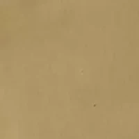 Men's 7" Twill Shorts