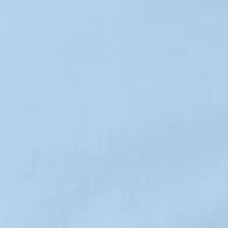 Men's 5" Twill Shorts