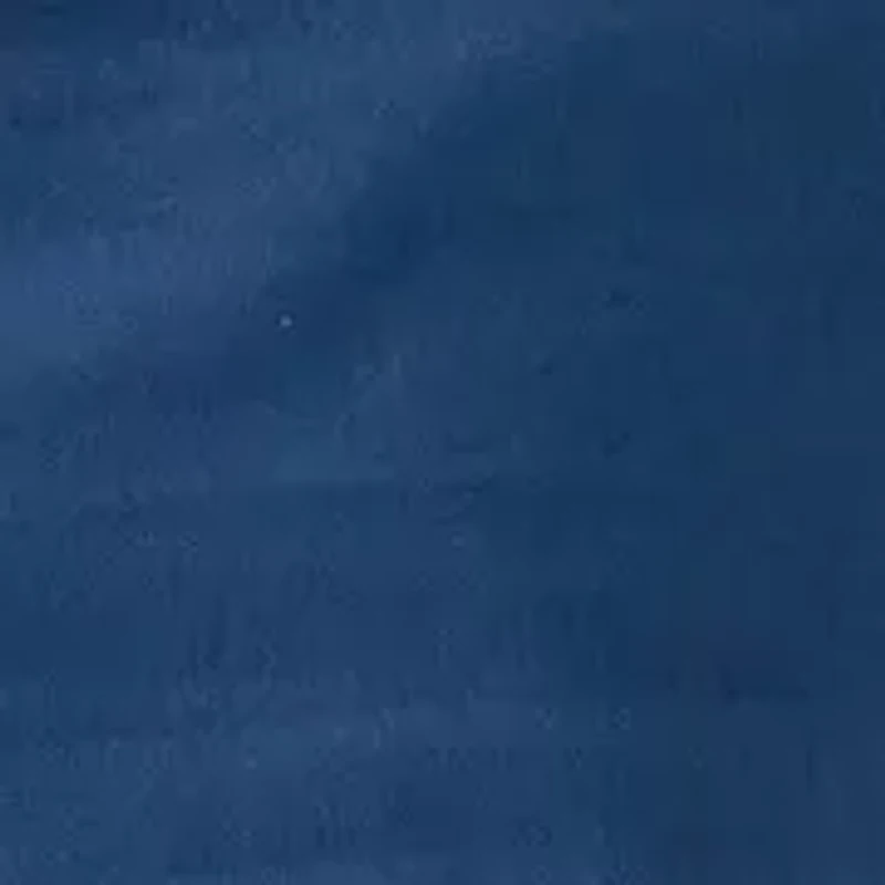 11" Twill Cargo Shorts