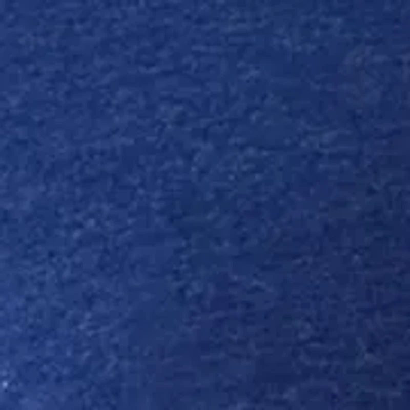 Big & Tall Fleece Hoodie