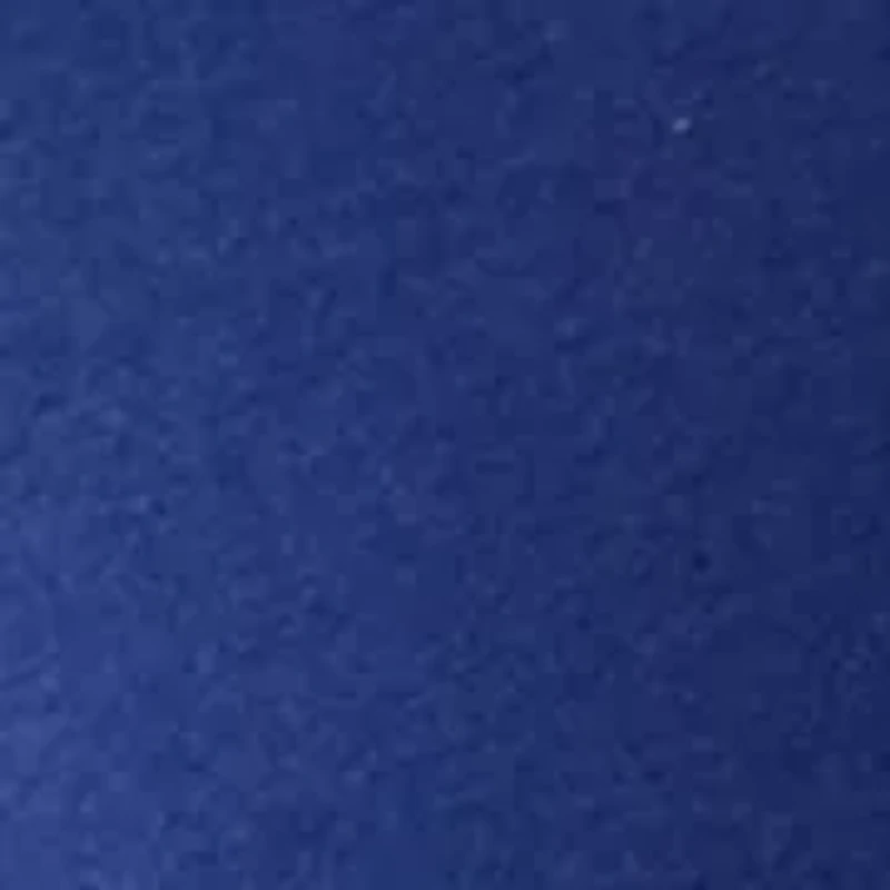 Big & Tall Fleece Zip Up Hoodie