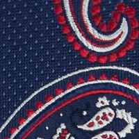 Paisley Printed Tie