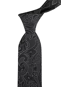 Ferris Classic Paisley Tie