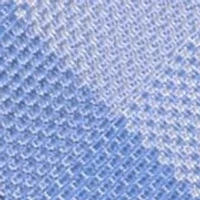 Holden Seasonal Check Tie