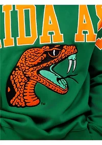 NCAA Florida A&M Rattlers Graphic Crew Sweatshirt