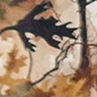 NCAA Tuskegee Golden Tigers Camo Field Jacket