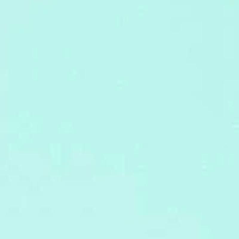 Anchors Printed Swim Shorts