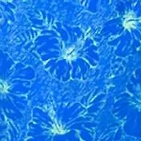 Tropical Floral Printed Swim Shorts