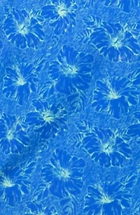 Tropical Floral Printed Swim Shorts