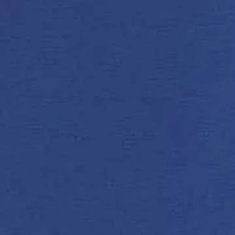 Skulls Printed Swim Shorts