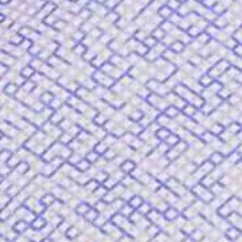 Abstract Maze Printed Performance Polo