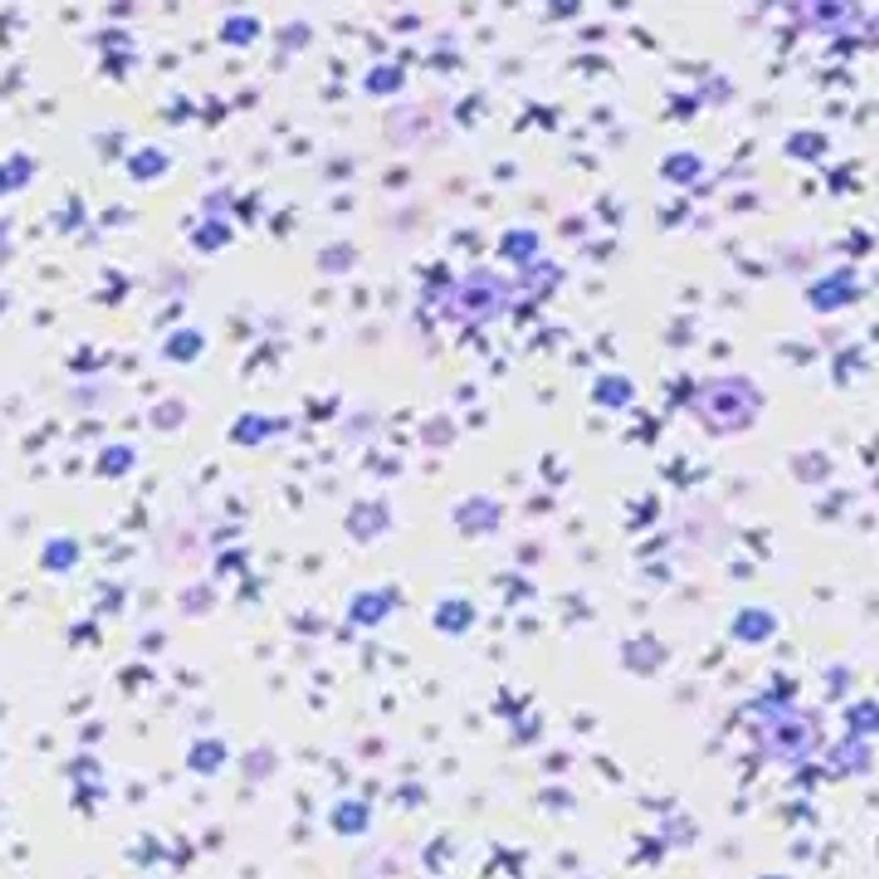 Ditsy Floral Printed Performance Polo