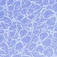 Summer Floral Printed Performance Polo