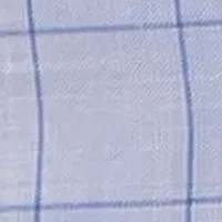 Mini Windowpane Sport Coat