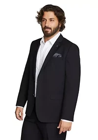 Big & Tall Raymond 2 Button Suit Jacket