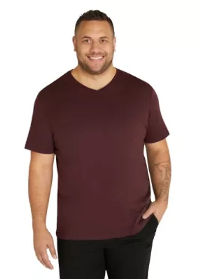 Big & Tall Essential V Neck Tee