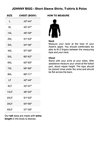 Big & Tall Essential V Neck Tee