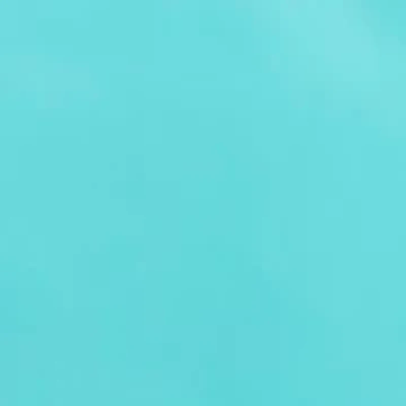 Color Block Dog Coat