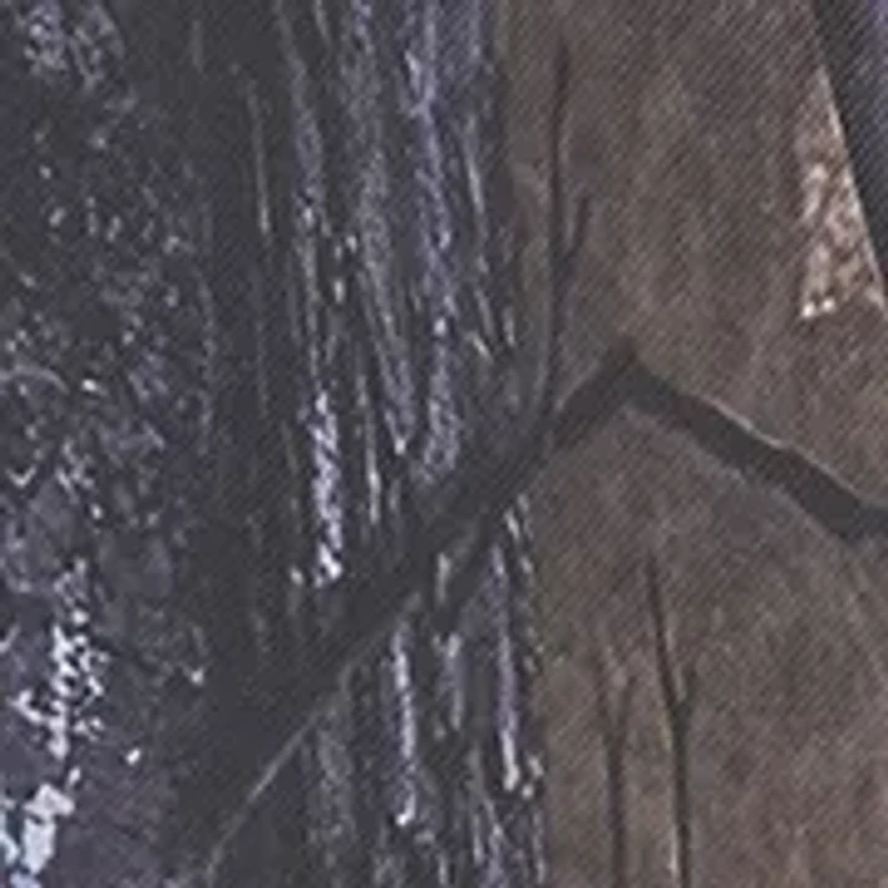 Auto Trunk Organizer