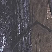 Auto Trunk Organizer