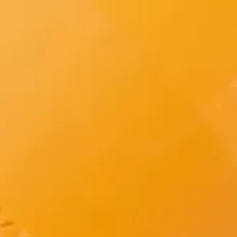 Commander Flashlight 