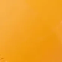 Commander Flashlight 