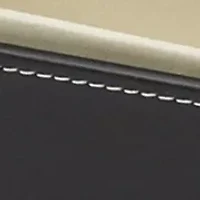 Leather Sunglass Organizer