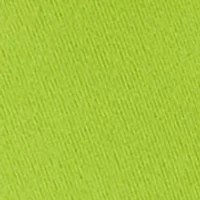 Pickle Balls and Bag