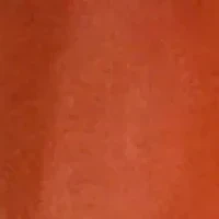 Nose Hair Trimmer for Men