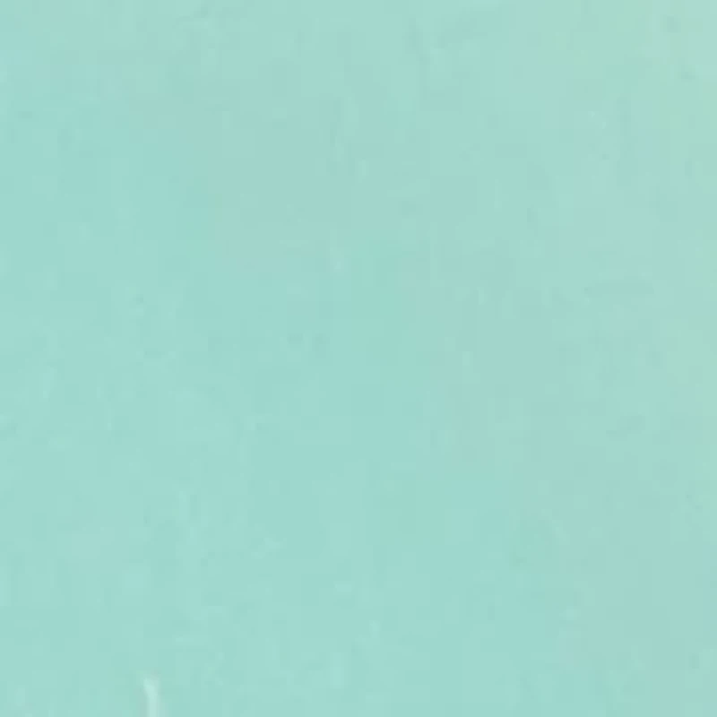 Men's Mossy Oak Coastal Graphic T-Shirt