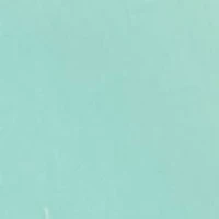 Men's Mossy Oak Coastal Graphic T-Shirt