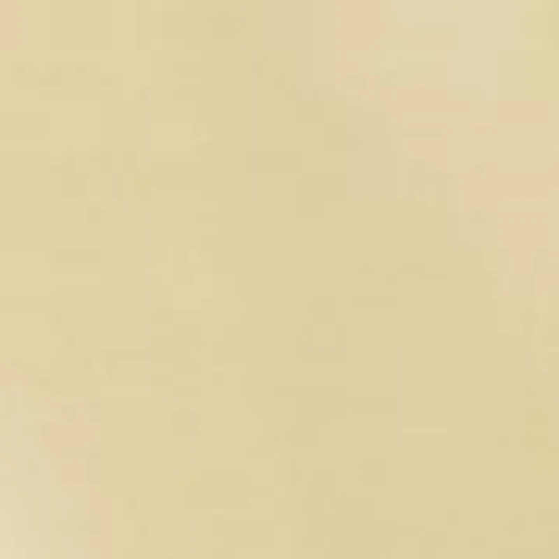 Men's Oxford Button Down Shirt