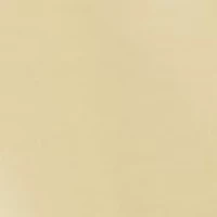 Men's Oxford Button Down Shirt