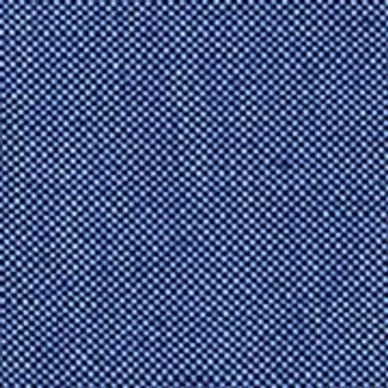 Oxford Button Down Shirt