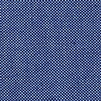 Oxford Button Down Shirt