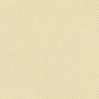 Men's Oxford Button Down Shirt