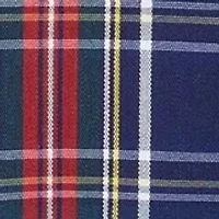Plaid Dress Shirt