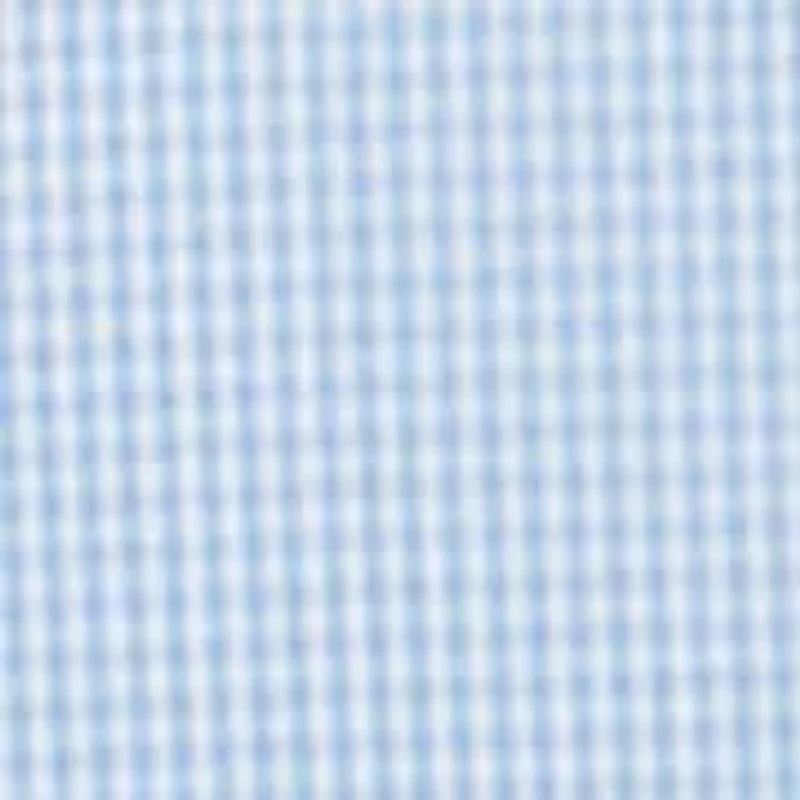 Big & Tall Gingham Button Down Shirt